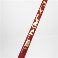 １３リュウガ　鯰６９